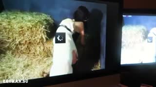 A man looks at the Internet zoo sex and cums on the monitor