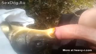 На рыбалке чувак поймал рыбу и засунул ей член в рот
