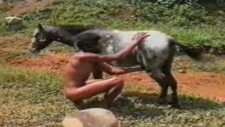 Zoo sex mule. Caucasian licking ass ass and Fucks him anal